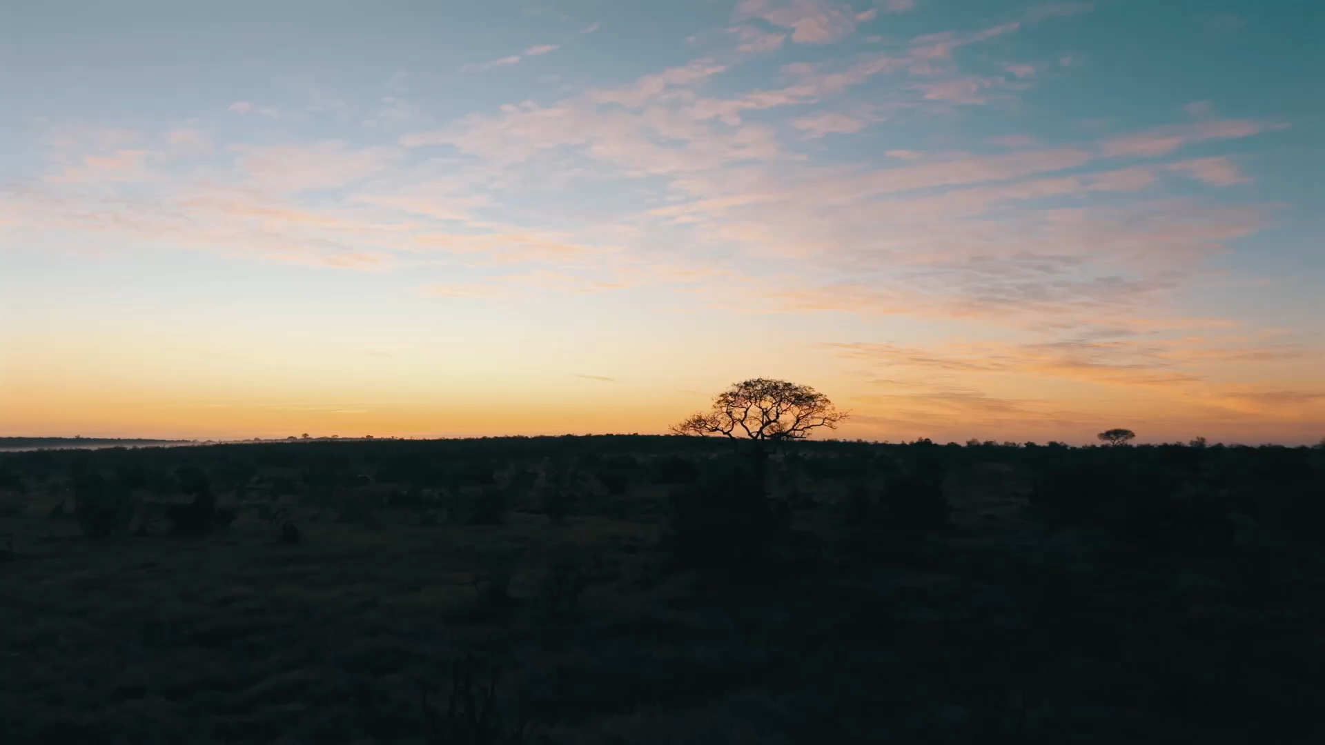 Dusk over the bush from the lodge — a lone marula in silhouette against an orange and blue sky.