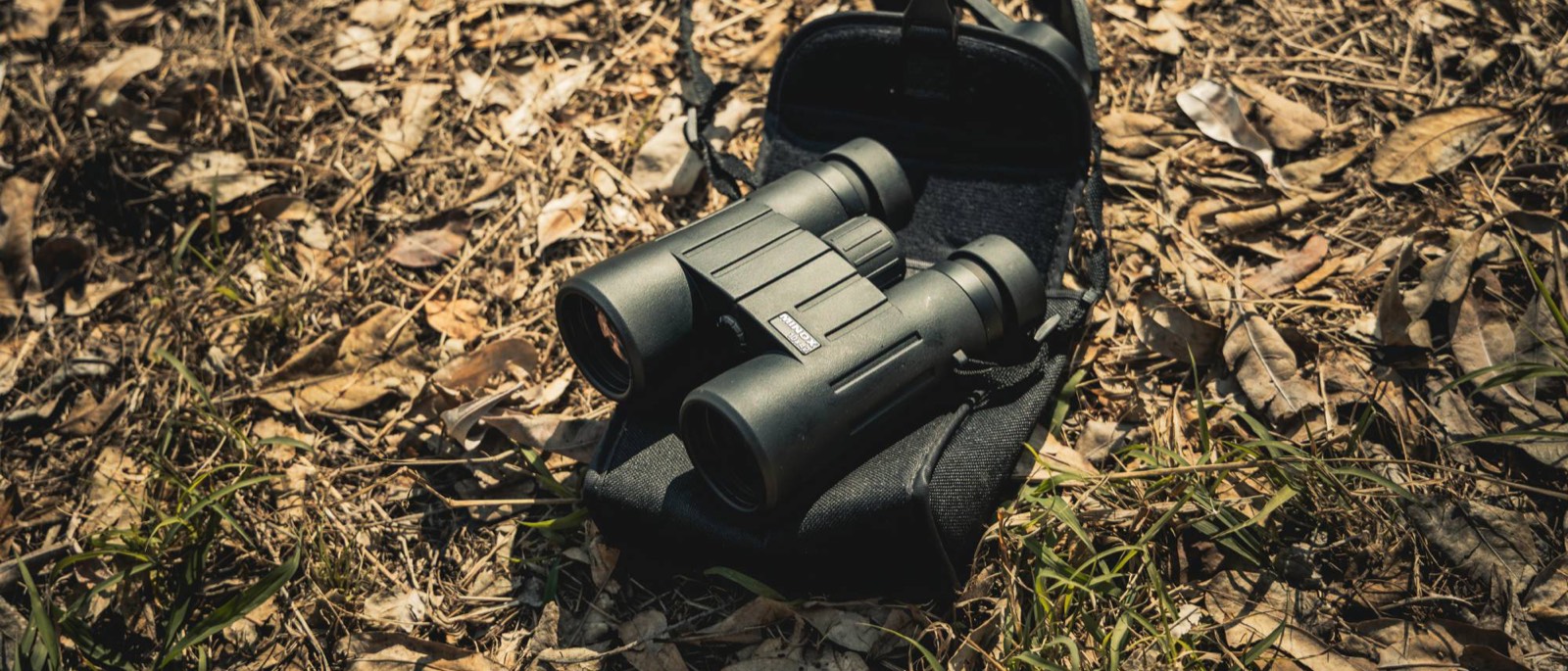 A pair of dark green binoculars resting on their open carry case, on dry leaf litter and new grass in warm sunlight.