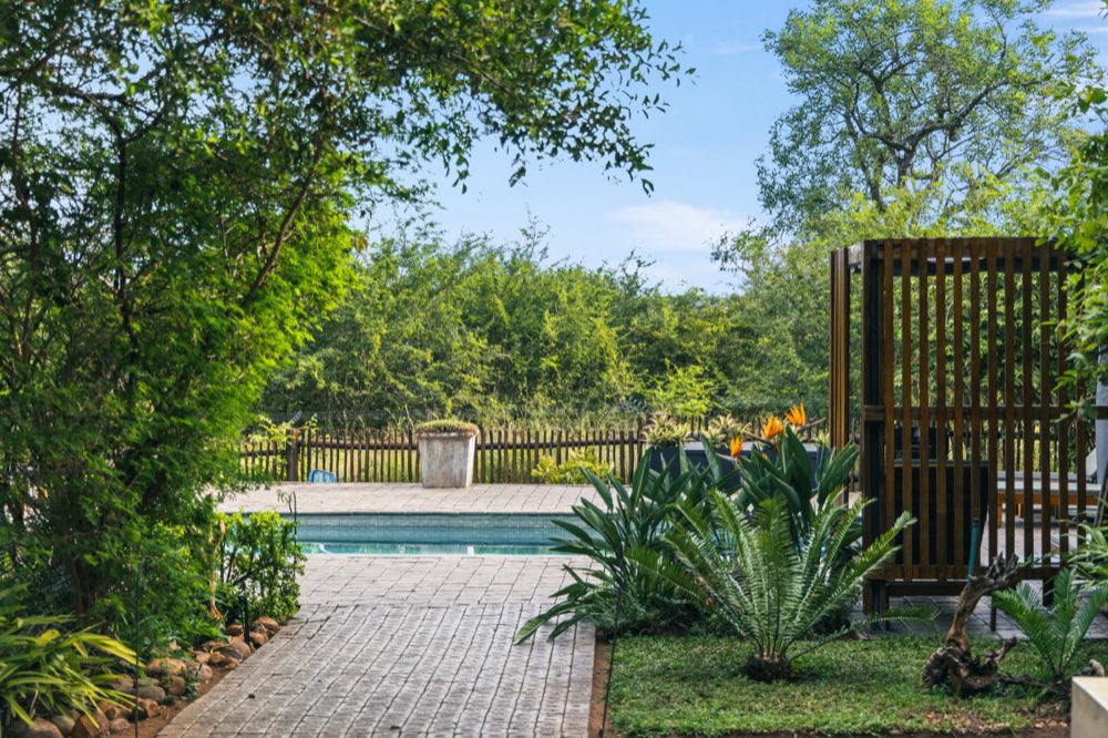 The pool seen from the top of the brick path, loungers behind a slatted timber screen and cycads along the edge of the lawn.