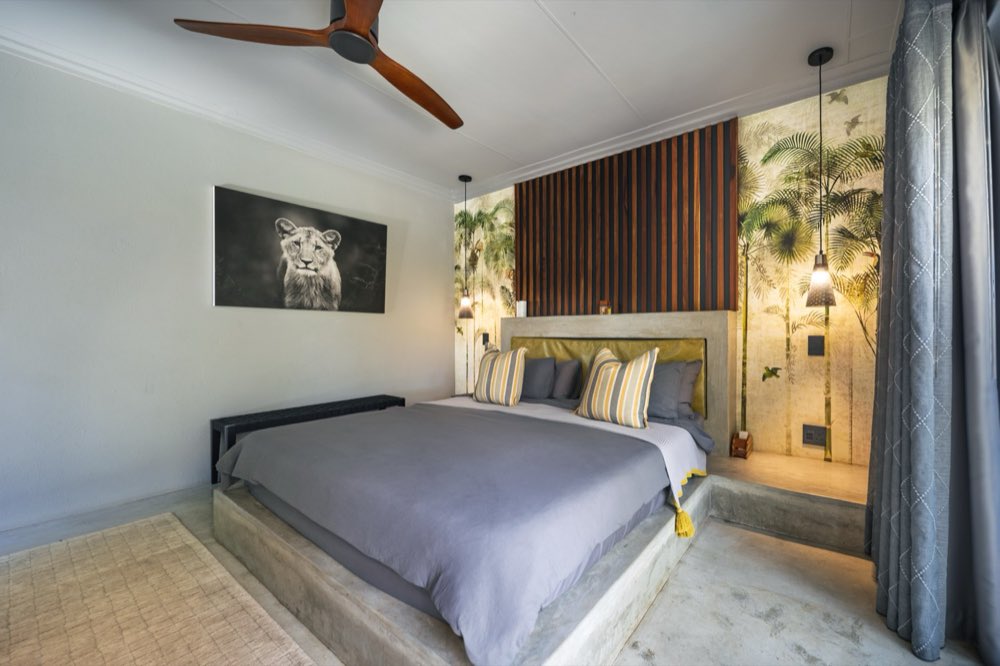 The Superior Bush Suite from the doorway, lioness photograph on the near wall and the bed raised on a concrete plinth.